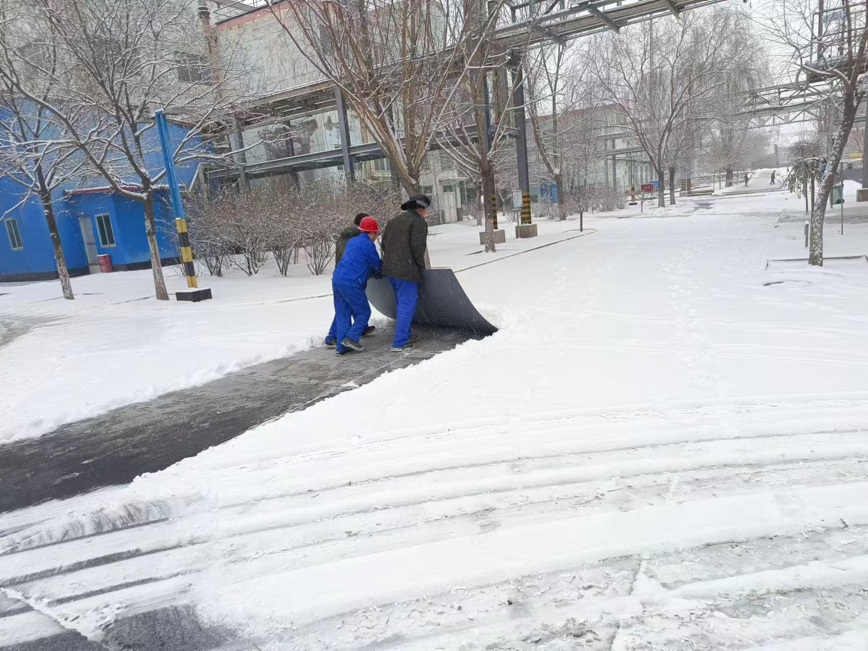 图片9.png 图片9.png