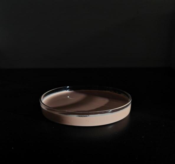 微信图片_20250428113225